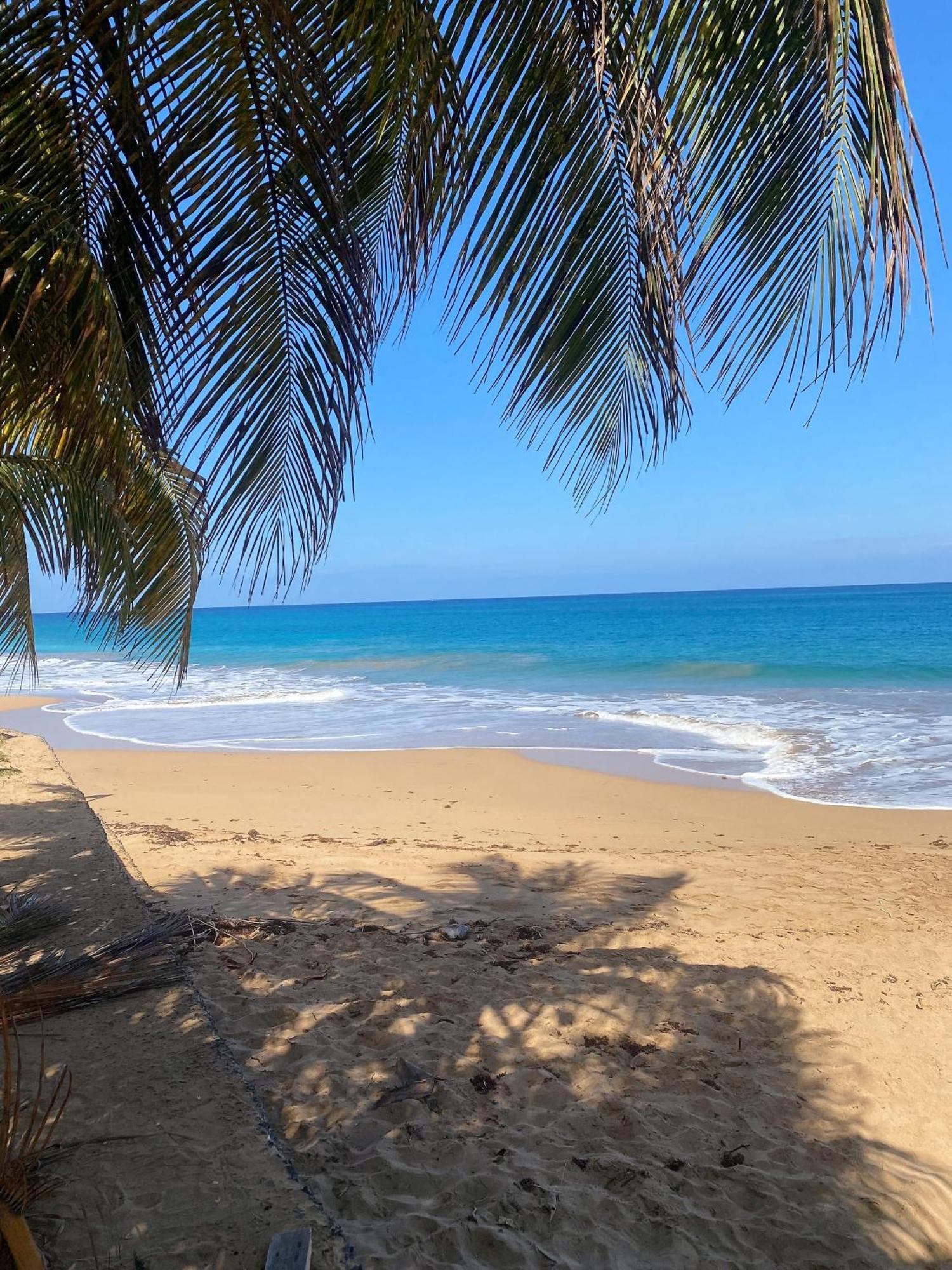 דסהייס Charmant Bungalow Tout Confort Climatise - Terrasse Et Acces Plage ! מראה חיצוני תמונה